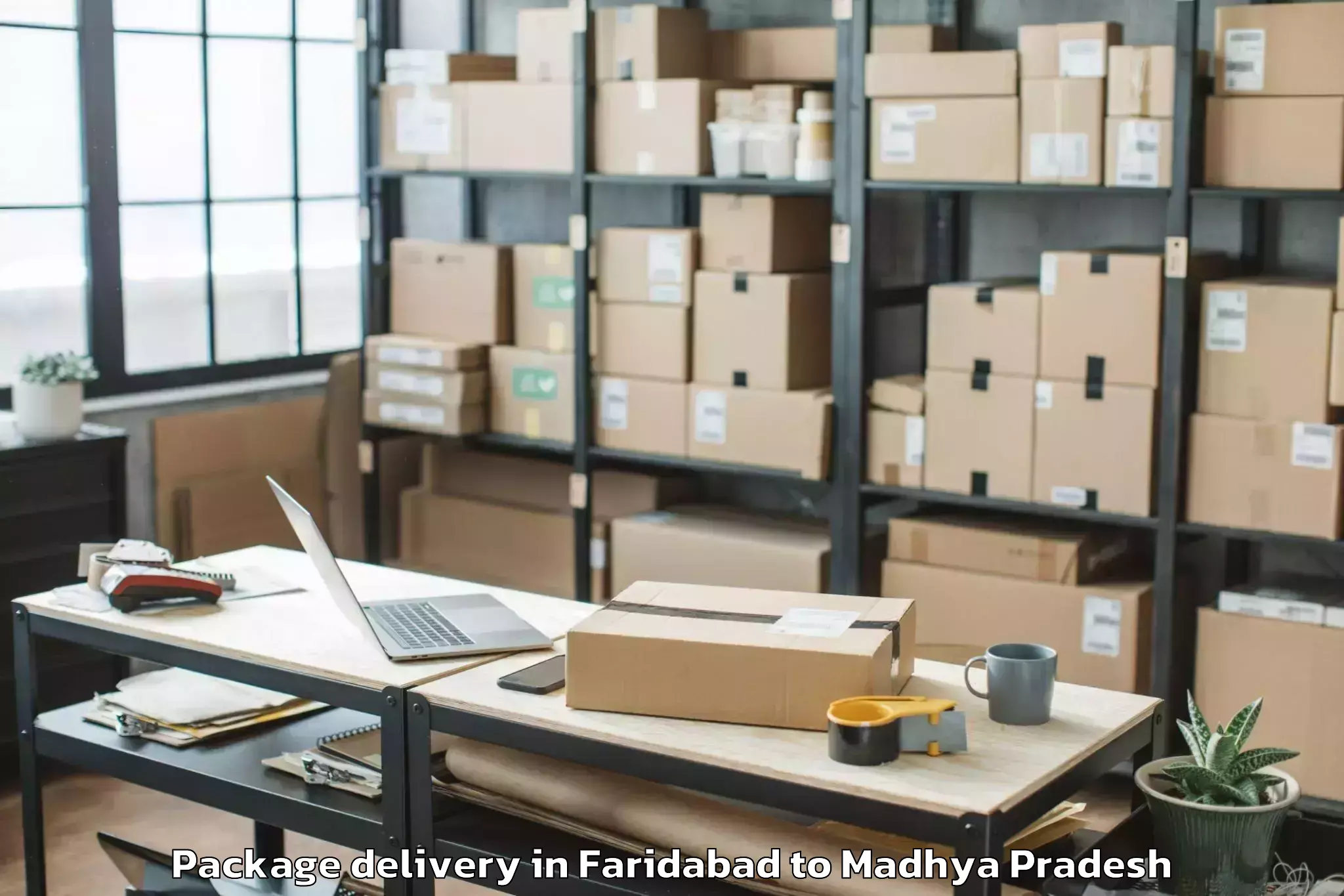 Book Faridabad to Mahidpur Package Delivery